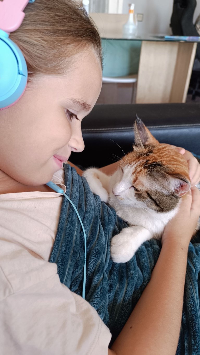 Cat cuddles.jpg