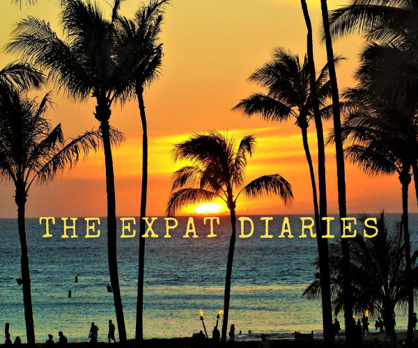 The expat diaries.png