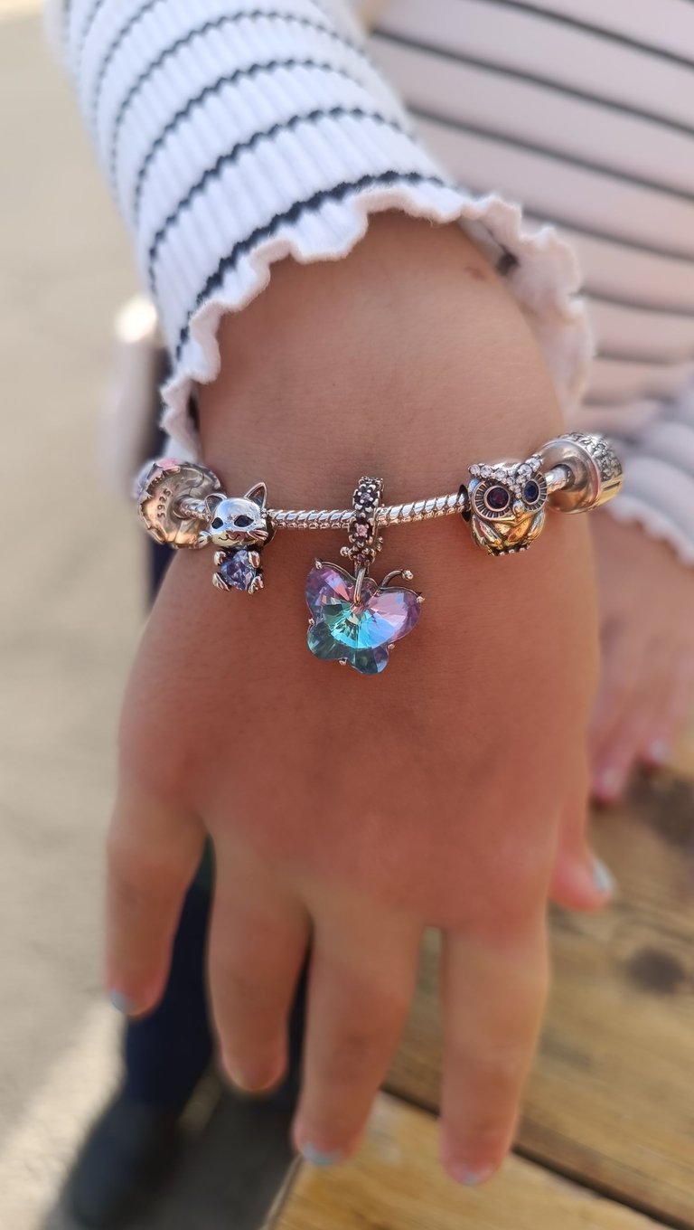 Charm bracelet gift.jpg