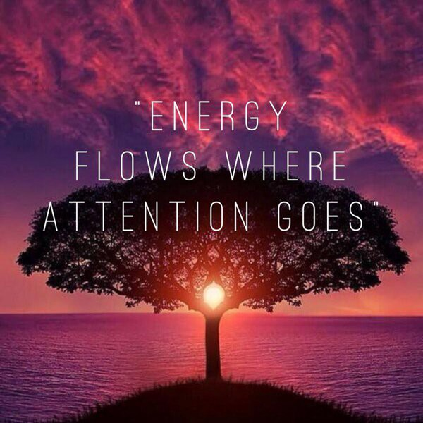 energy flows where attention goes.png