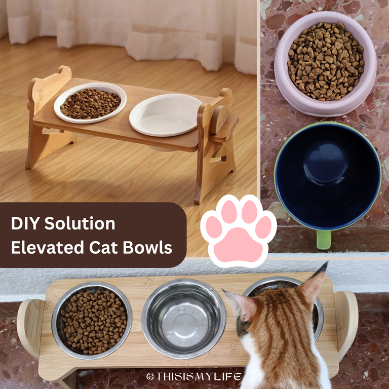 DIY solution elevated cat bowls.png