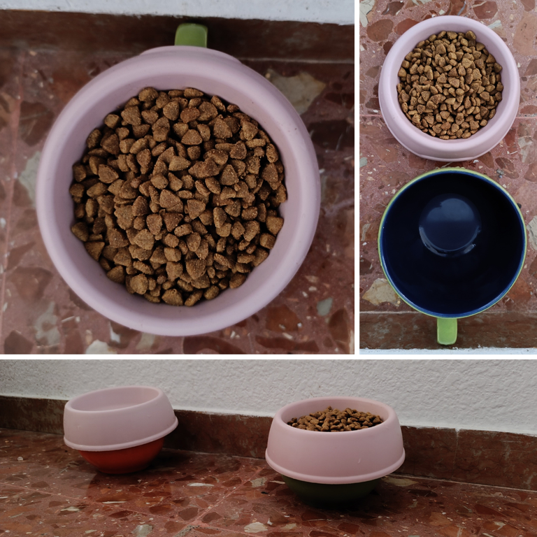 DIY temporary solution elevated cat bowls.png