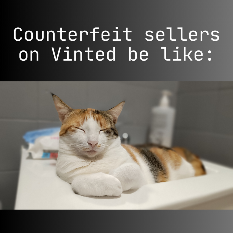 Counterfeit sellers on Vinted be like.png