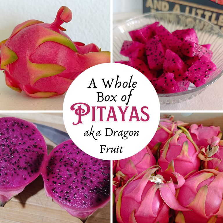 A Whole Box of pitayas - aka dragon fruit.png