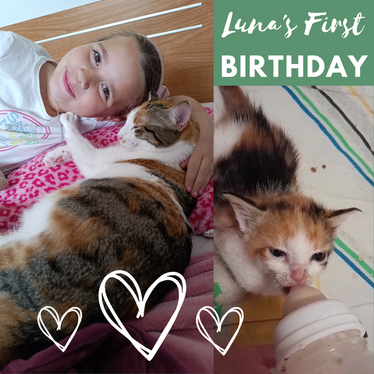 Luna's first birthday.png
