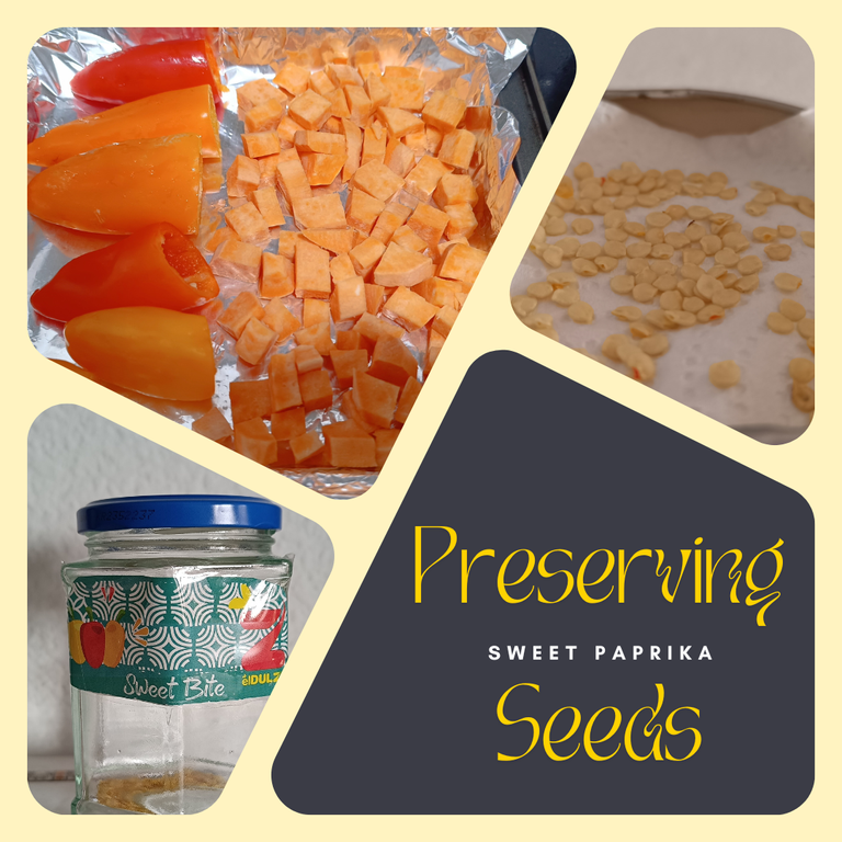 Preserving sweet paprika seeds.png