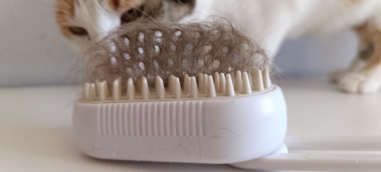 Cat hair removal steam brush (14).jpg