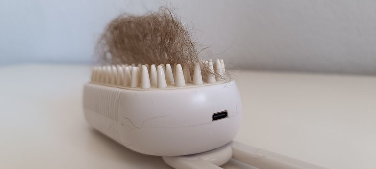 Cat hair removal steam brush (13).jpg