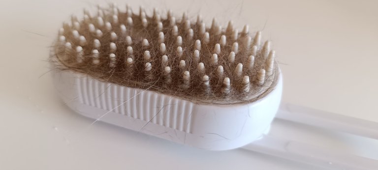 Cat hair removal steam brush (12).jpg