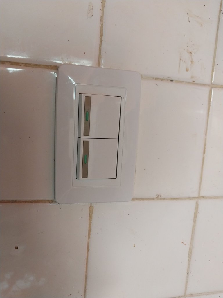 20250609_155245.jpg
