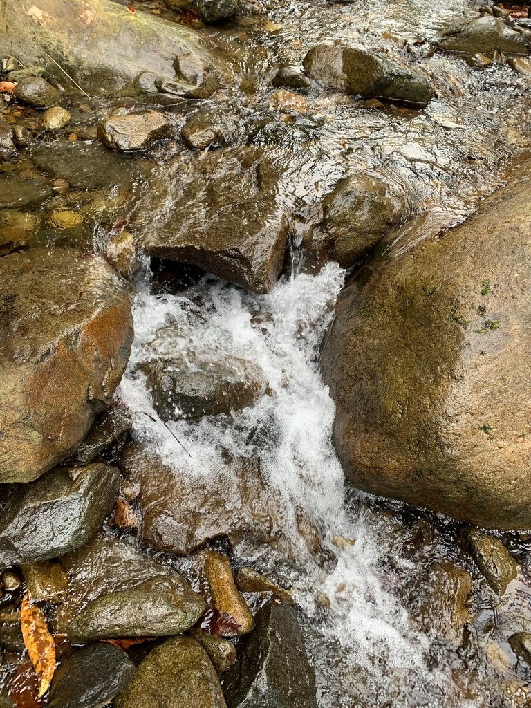 IMG_9960.JPEG