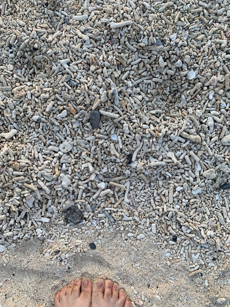 IMG_5062.JPEG