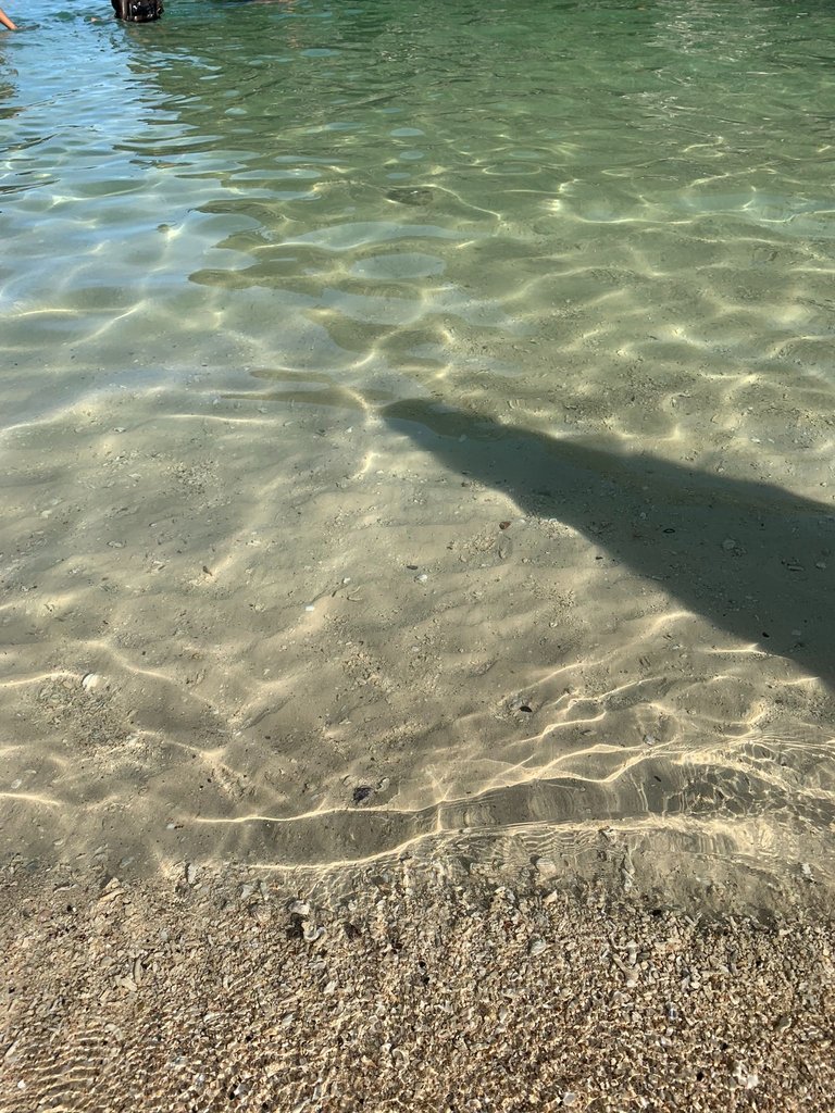 IMG_4671.JPEG