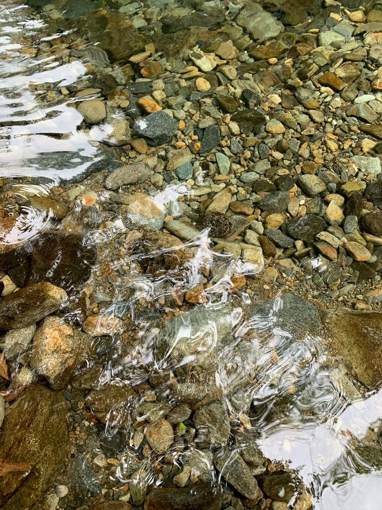 IMG_9908.JPEG