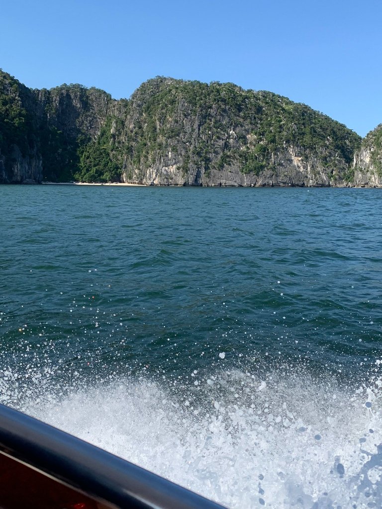 IMG_4571.JPEG