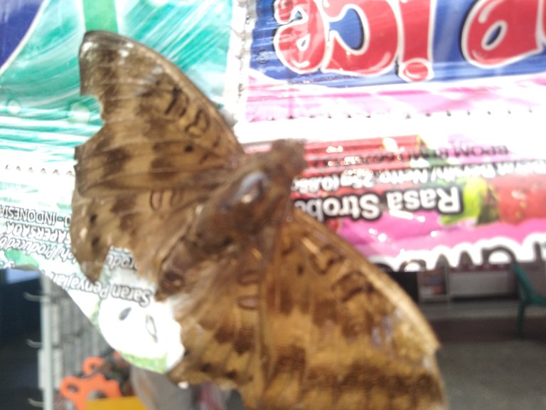 IMG20201011130656.jpg
