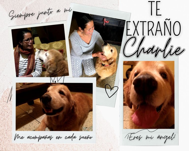 charlito-9.jpg