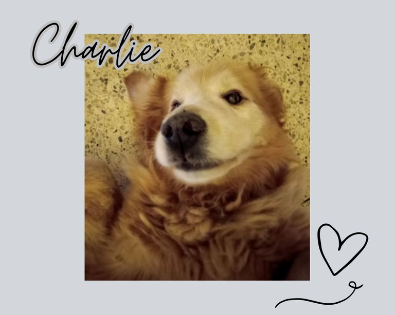 charlito-21.jpg