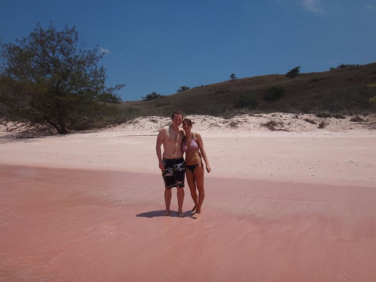 PinkBeach1.JPG