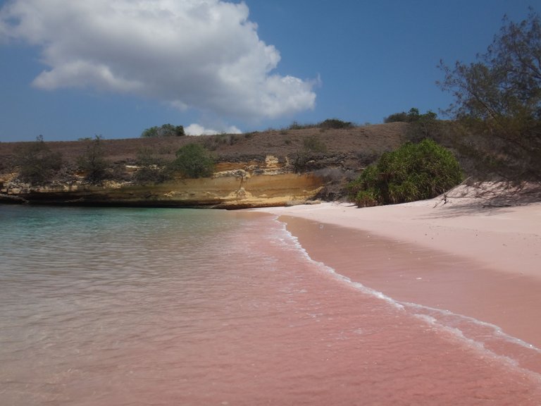 PinkBeach4.JPG