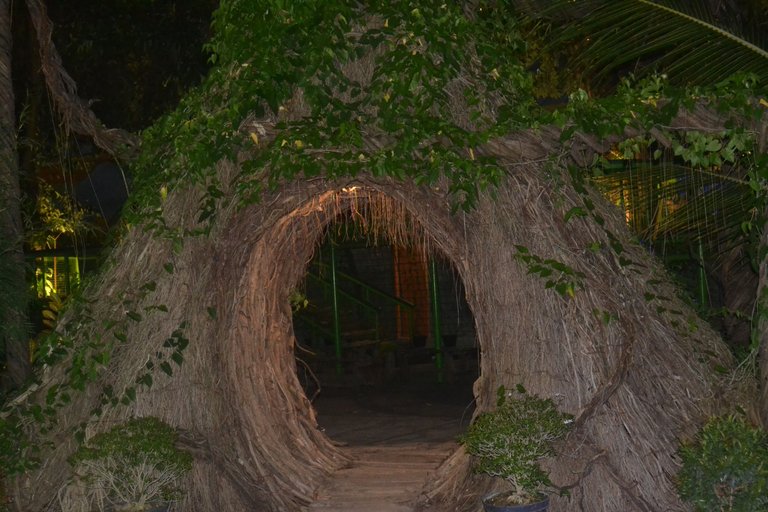 DSC_0755.JPG