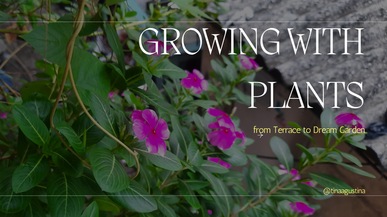 GROWING WITH PLANTS - from Terrace to Dream Garden.png
