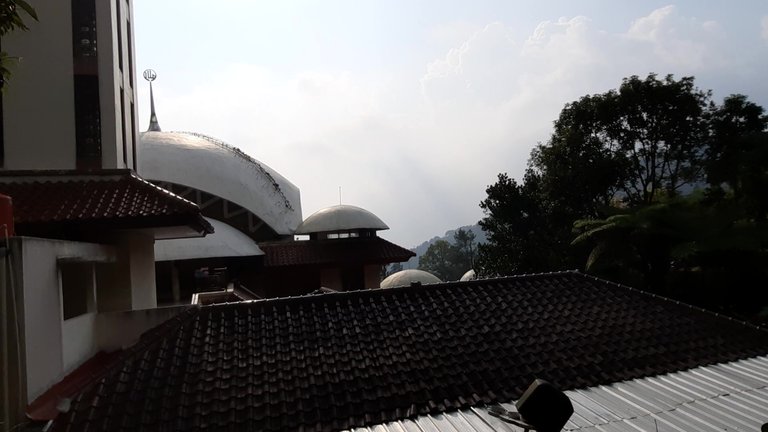 20200809_153117 - frame at 0m6s.jpg