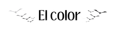 El color (1).png