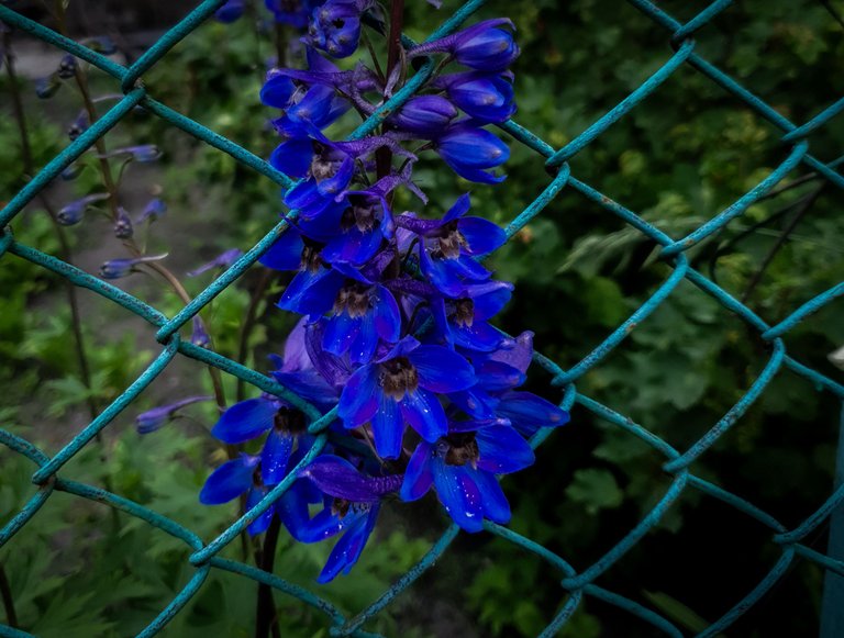 20250608_154118.jpg