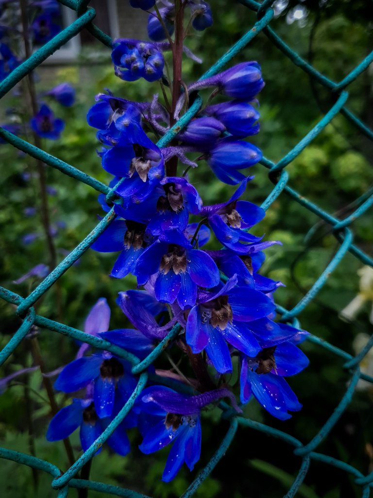 20250608_154121.jpg