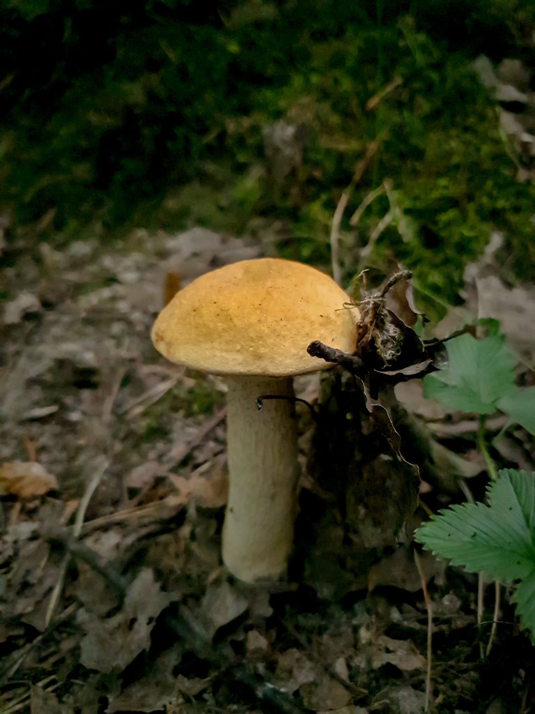 20250811_134249.jpg