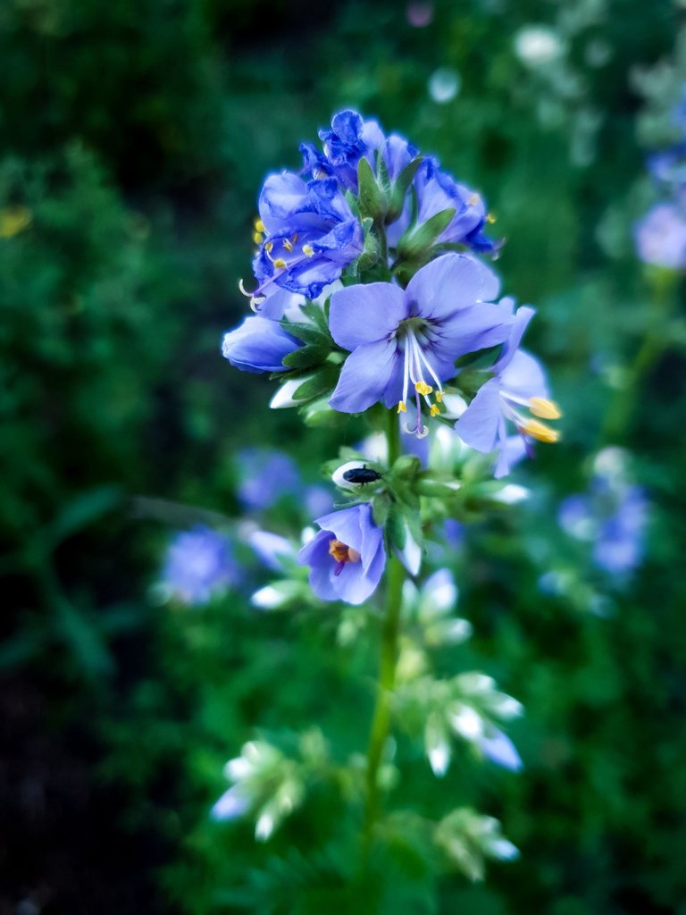 20250703_195716.jpg