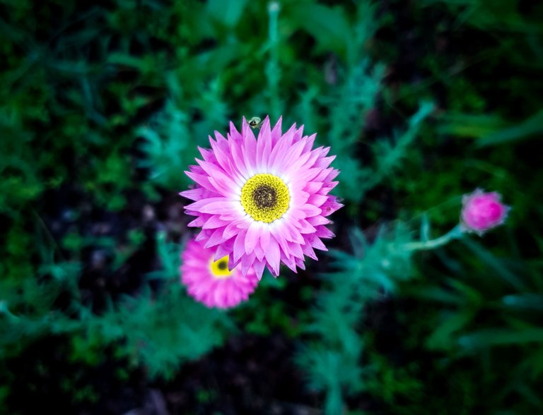 20250703_195731.jpg
