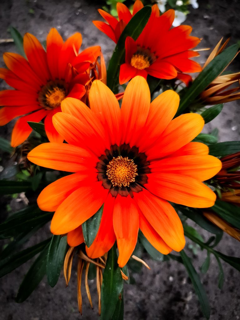 20250608_153250.jpg