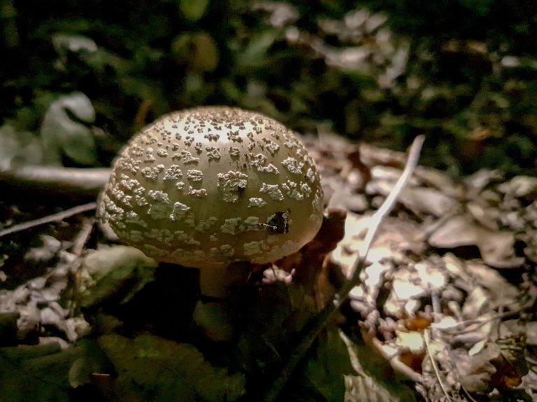 20250811_133126.jpg