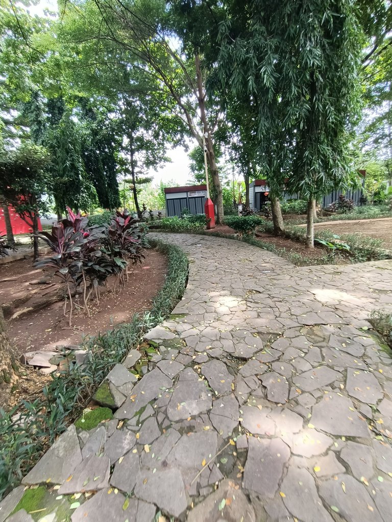 IMG20241211112017.jpg