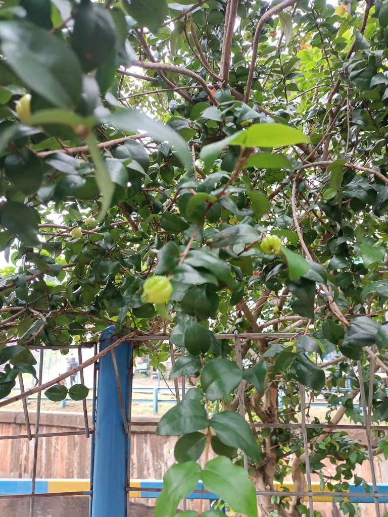 IMG20250619162725.jpg