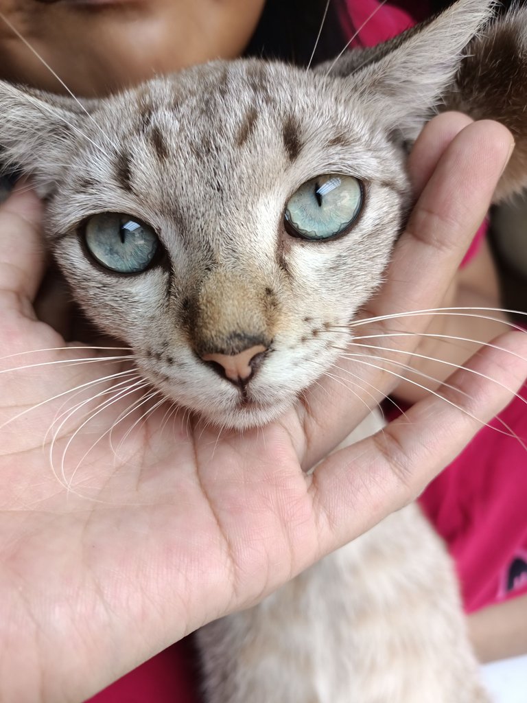 IMG20250408110702.jpg