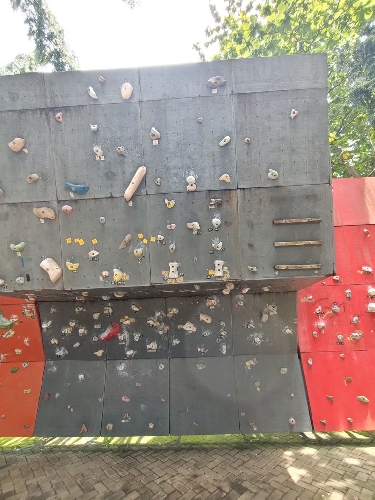 IMG20241211112047.jpg