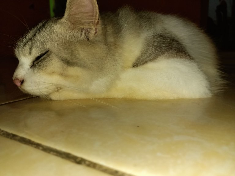 IMG20250412181518.jpg