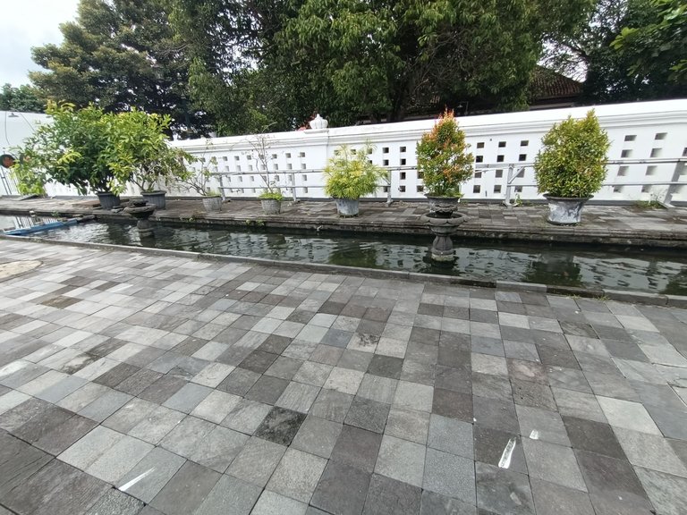 IMG20241206124402.jpg