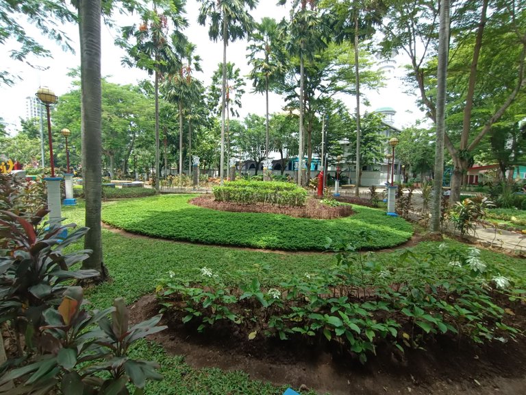 IMG20241211111836.jpg