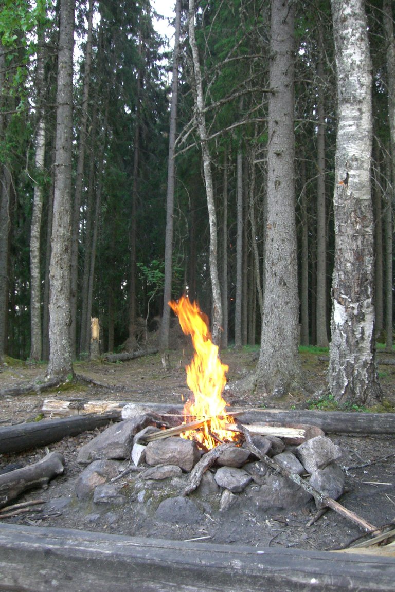 CIMG3575.JPG