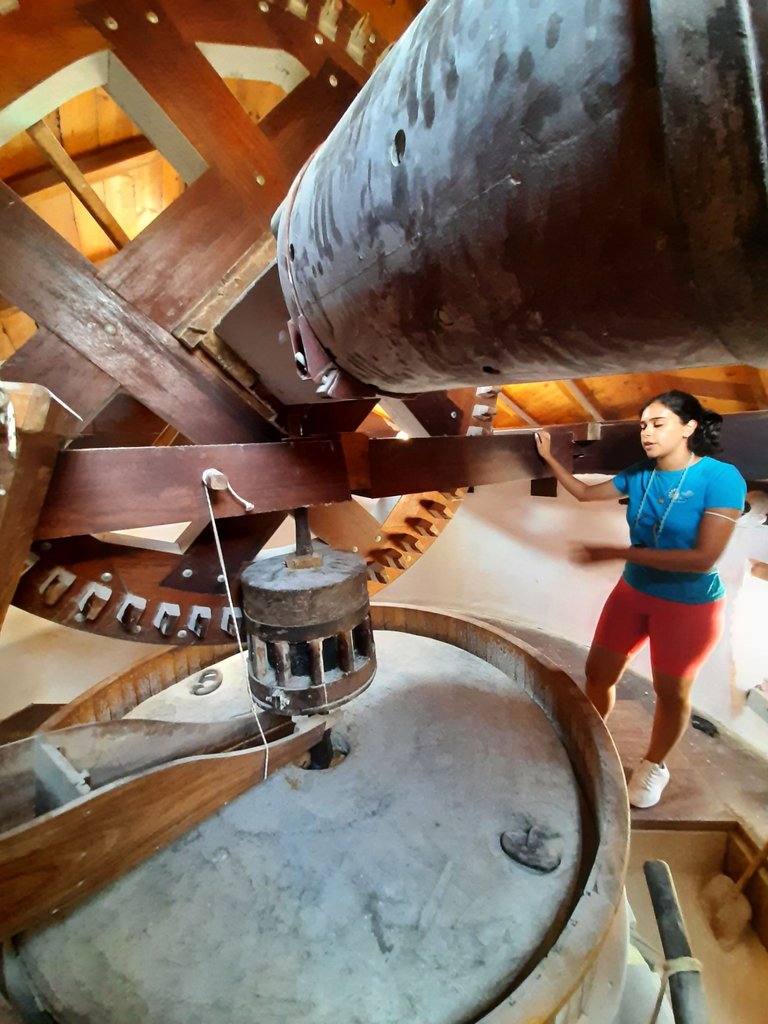 20210909_161808.jpg