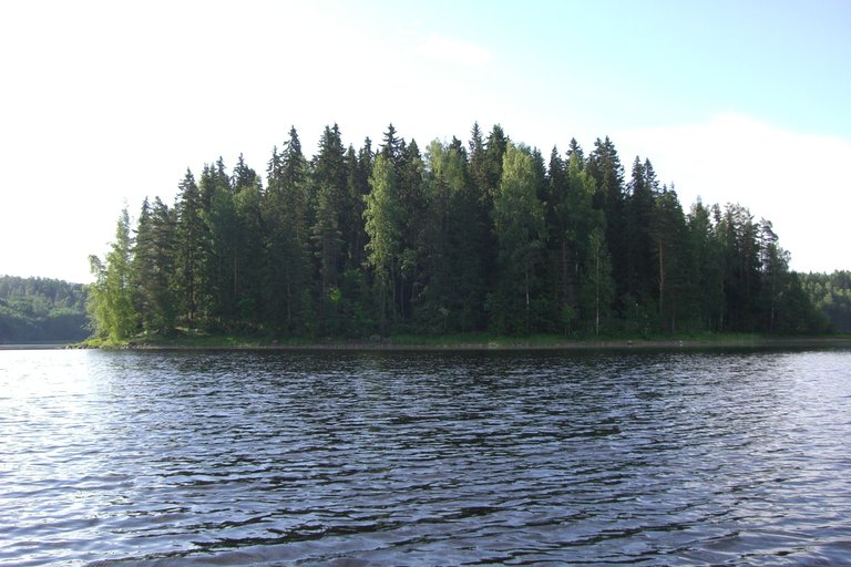 CIMG3586.JPG