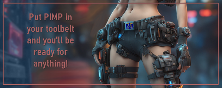 PIMP--Toolbelt.png
