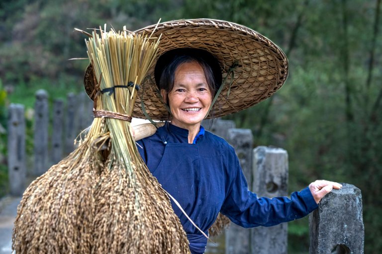 pexels-quang-nguyen-vinh-222549-30174385.jpg