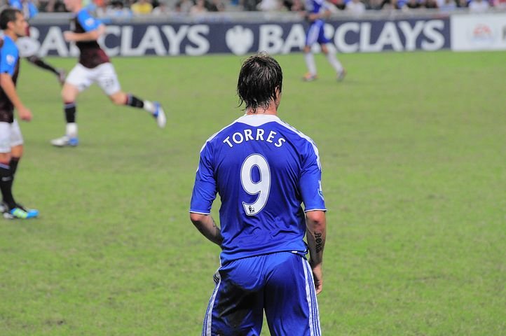 fernando-torres-3540628__480.jpg