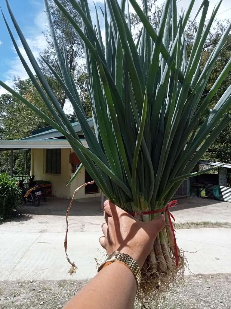 IMG20250205112236.jpg