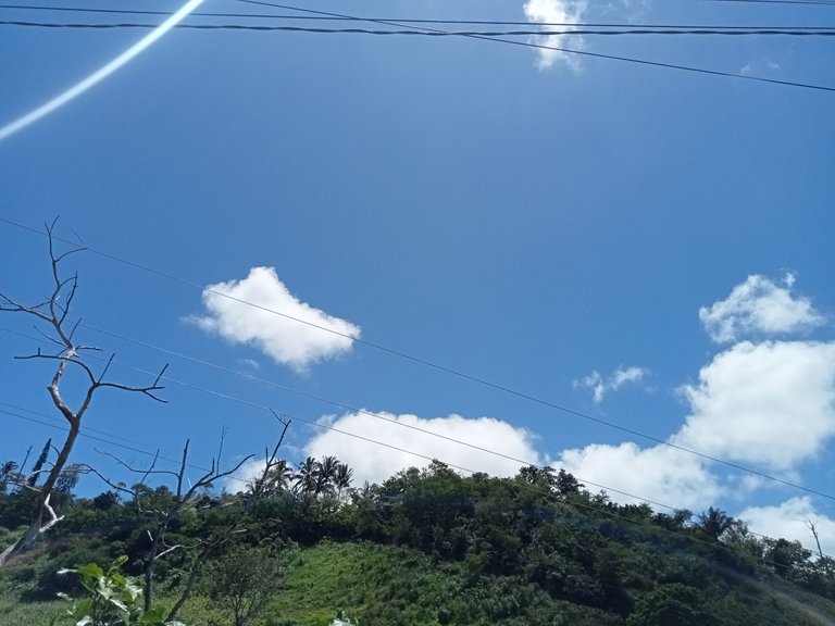 IMG20250311113623.jpg
